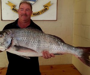  Kushengelaars speel nie